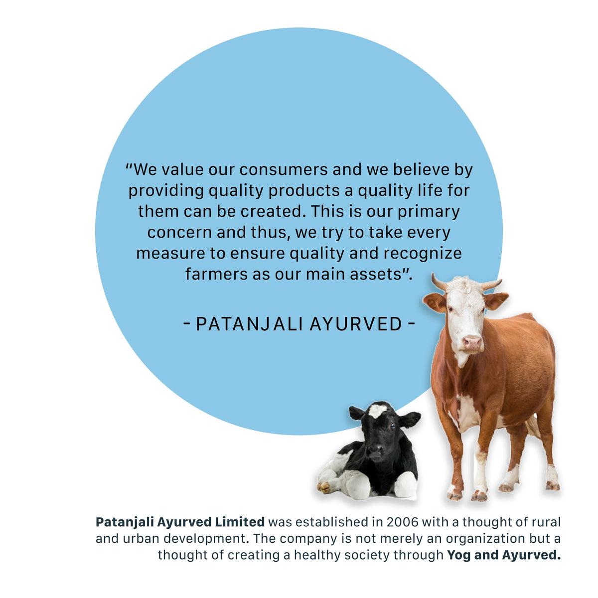 PATANJALI- ENERGY INFUSED ORGANIC GRASS FED COW'S GHEE
