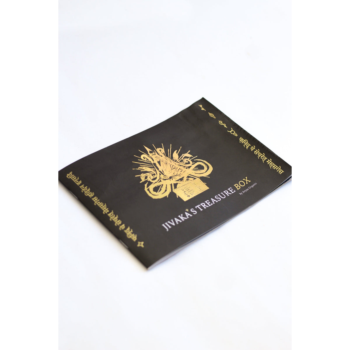 Jivaka's Treasure Book